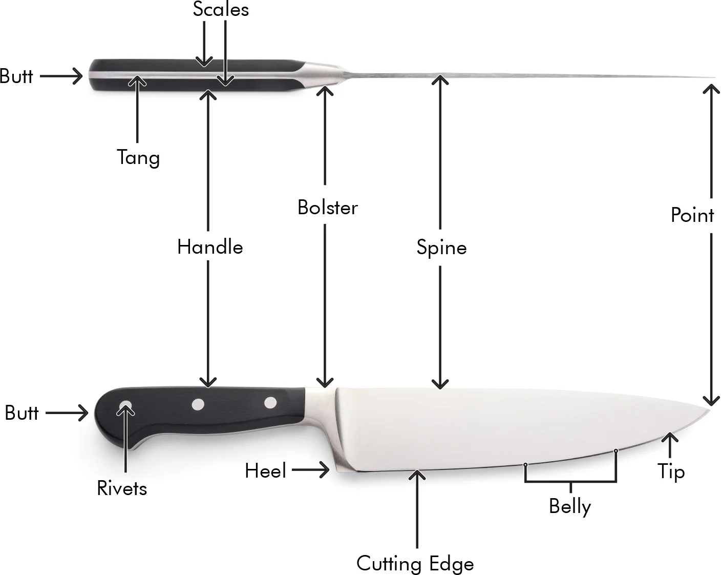 A diagram showing the anatomy of a kitchen knife.